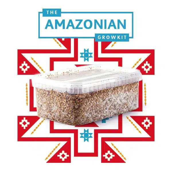 Amazonian Myceliumbox
