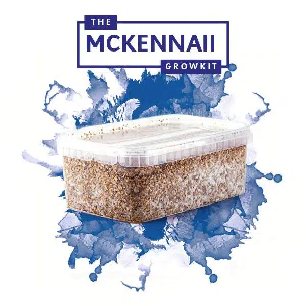 McKennaii Myceliumbox
