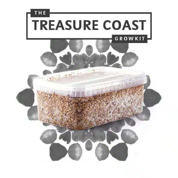 TreasureCoast Myceliumbox