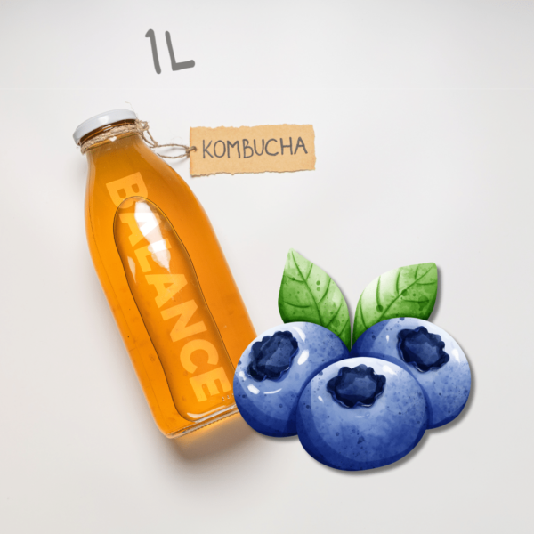 Kombucha Balance Bleuberry 1L