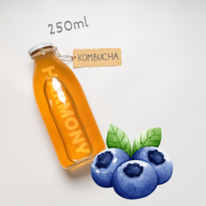 Kombucha Harmony Blueberry