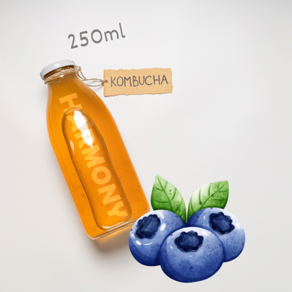 Kombucha Harmony Blueberry