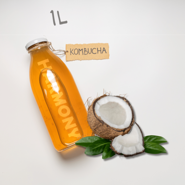 Kombucha Harmony Coconut 1L