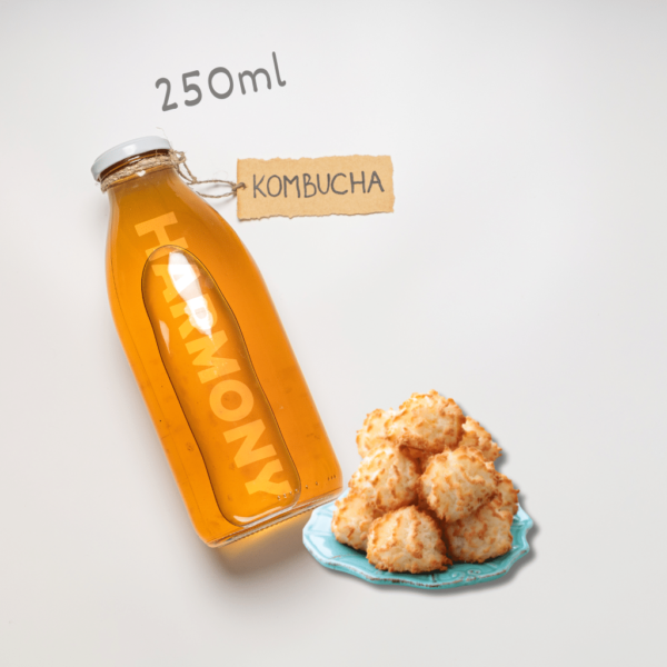 Kombucha Harmony Coconut Macaroon