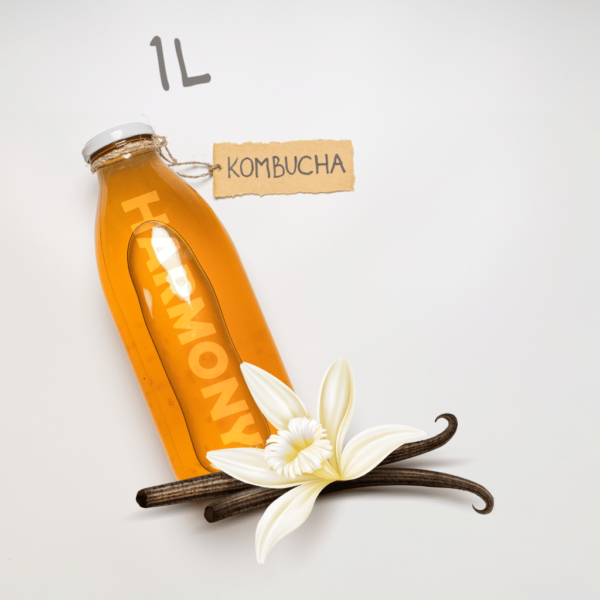 Kombucha Harmony Vaniila 1L