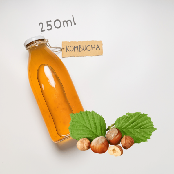 Kombucha Hazel Nut 250ml