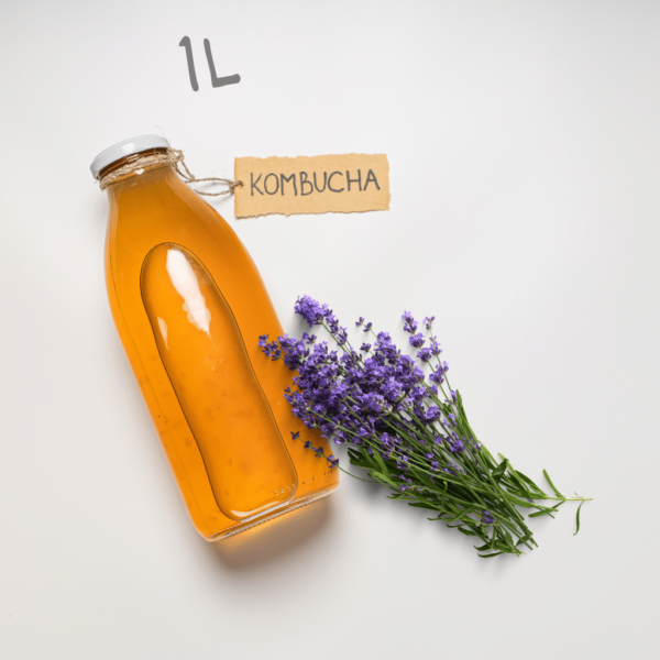 Kombucha Lavender 1L