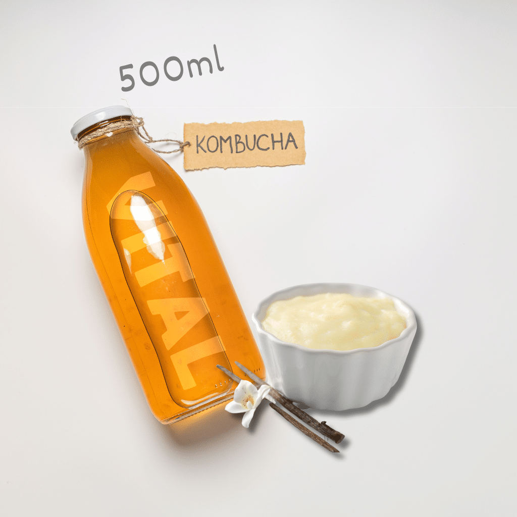 Kombucha Vital Vanilla 500ml