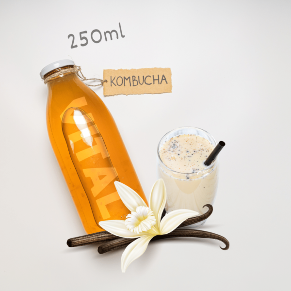 Kombucha Vital Vanilla Milkshake 250ml