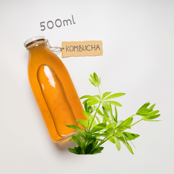 Kombucha Woodruff 500ml