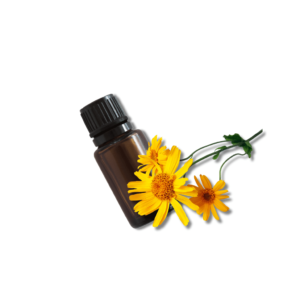 Arnica